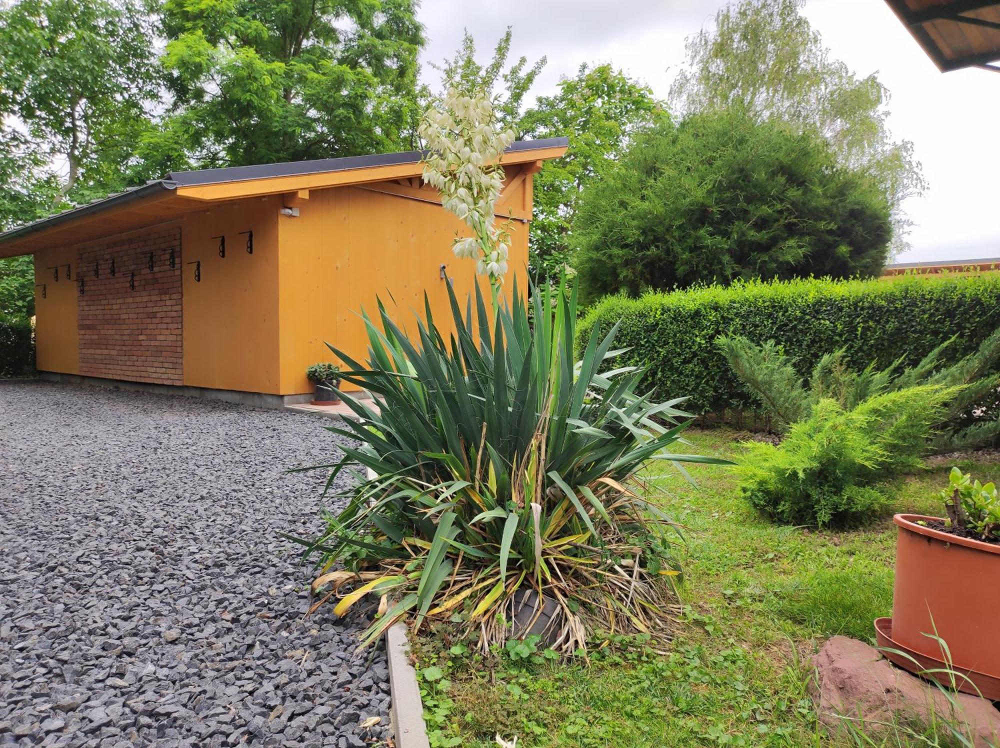 Ferienwohnung Zamardi Trafohaz Exterior foto